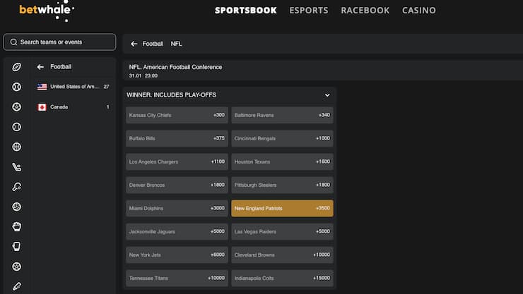A snapshot of BetWhale, one of our top rated New Hampshire sports betting sites.